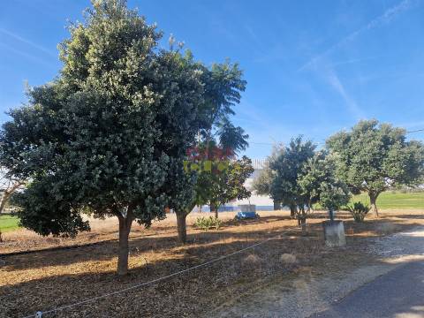Armazém T1 Venda em Brogueira, Parceiros de Igreja e Alcorochel,Torres Novas