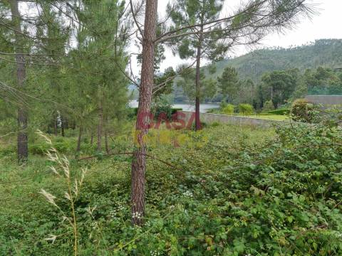 Terreno T4 Venda em Águas Belas,Ferreira do Zêzere