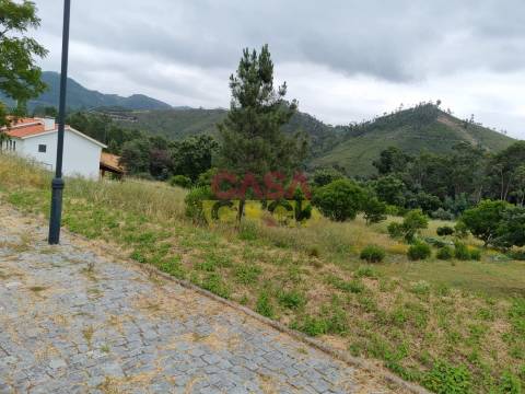 Terreno T3 Venda em Águas Belas,Ferreira do Zêzere