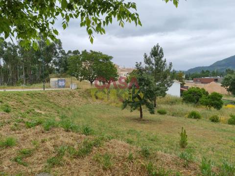 Terreno T3 Venda em Águas Belas,Ferreira do Zêzere