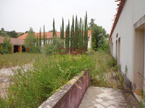 Moradia T6 Venda em Santa Margarida da Coutada,Constância