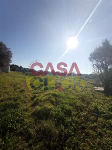 Lote de Terreno T4 Venda em Torres Novas (Santa Maria, Salvador e Santiago),Torres Novas