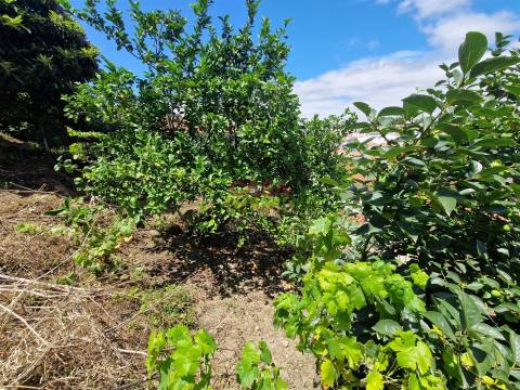 Prédio T2 Venda em Torres Novas (Santa Maria, Salvador e Santiago),Torres Novas