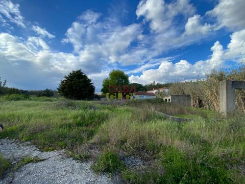 Lote de Terreno  Venda em Nossa Senhora de Fátima,Entroncamento