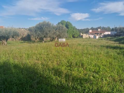 Terreno Para Construção T3 Venda em Asseiceira,Tomar