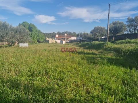 Terreno Para Construção T3 Venda em Asseiceira,Tomar
