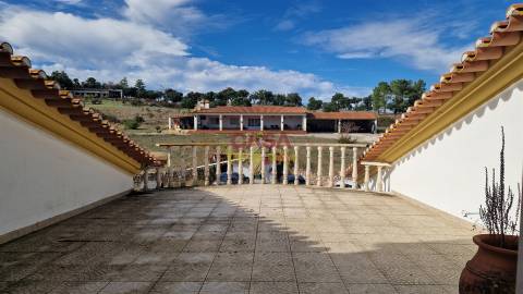 Quinta T6 Venda em Bemposta,Abrantes