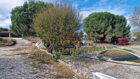 Quinta T6 Venda em Bemposta,Abrantes