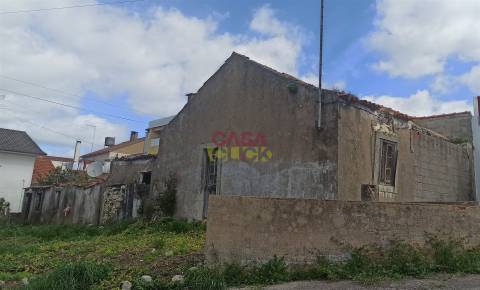 Moradia Devoluta T3 Venda em Torres Novas (São Pedro), Lapas e Ribeira Branca,Torres Novas