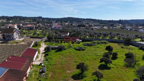 Terreno Misto T3 Venda em Carregueira,Chamusca