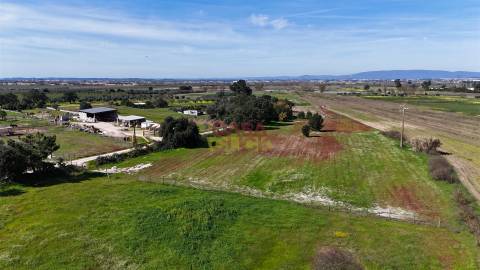 Terreno Misto T3 Venda em Carregueira,Chamusca