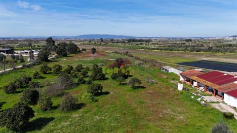 Terreno Misto T3 Venda em Carregueira,Chamusca