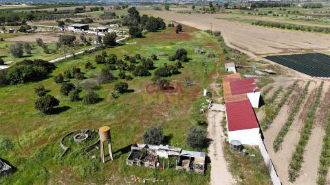 Terreno Misto T3 Venda em Carregueira,Chamusca