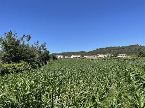 Terreno rústico com 6100m2, inserido em zona residencial