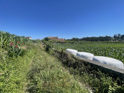 Terreno rústico com 6100m2, inserido em zona residencial