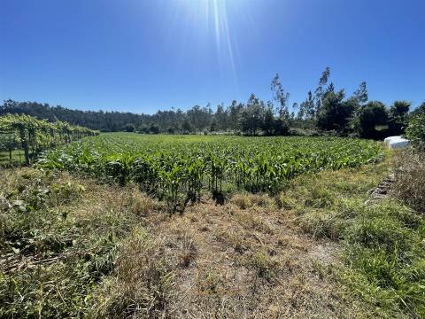 Terreno rústico com 6100m2, inserido em zona residencial