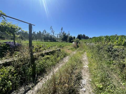 Terreno rústico com 6100m2, inserido em zona residencial