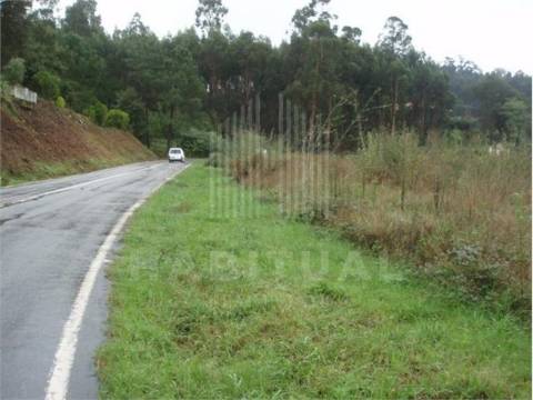 Terreno  em Brandara -Ponte de Lima  - 100%  FINANCIADO