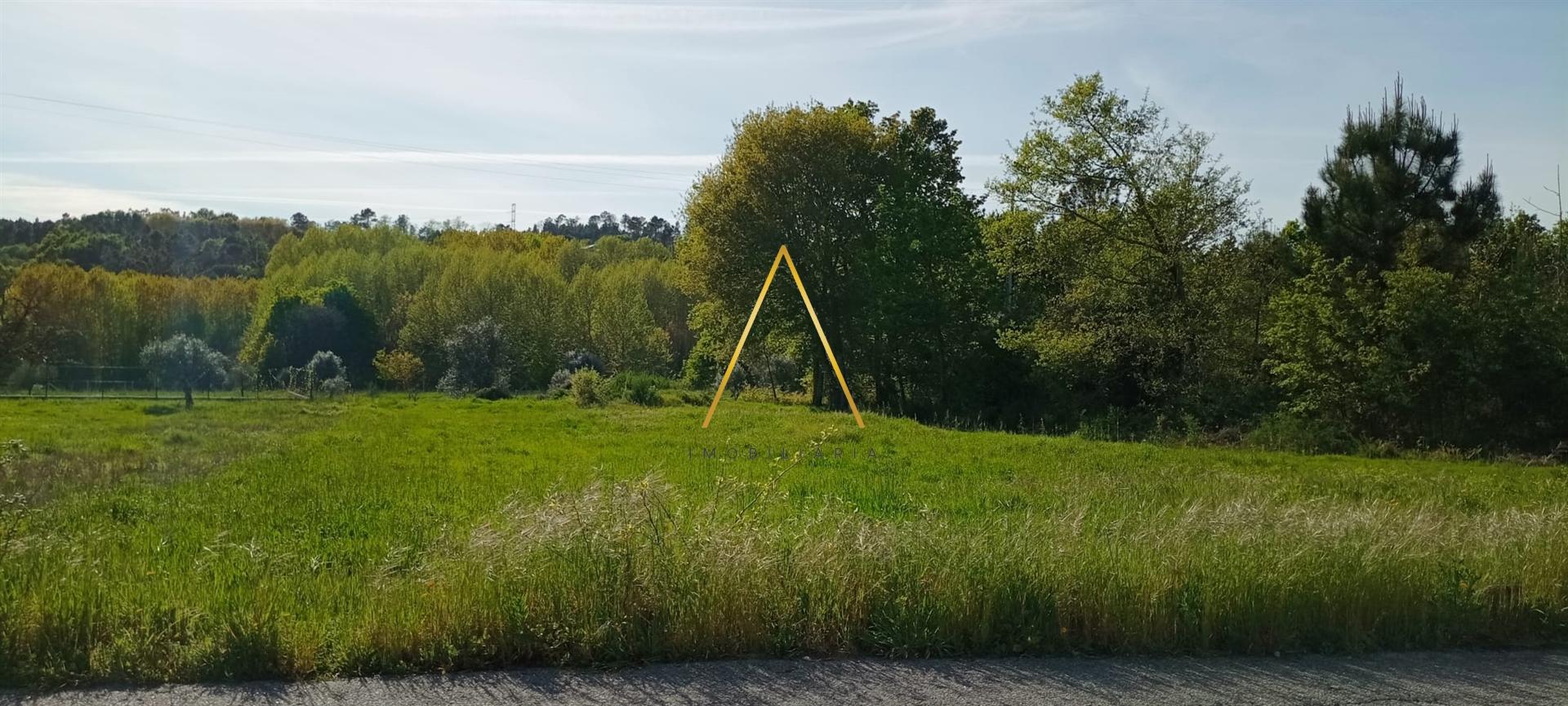 Terreno  Venda em Couto de Baixo e Couto de Cima,Viseu