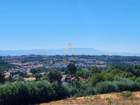 Lote de Terreno  Venda em Campo,Viseu