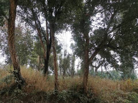 Lote Industrial  Venda em Fânzeres e São Pedro da Cova,Gondomar