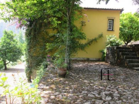 Quinta T4 Venda em Arca e Ponte de Lima,Ponte de Lima