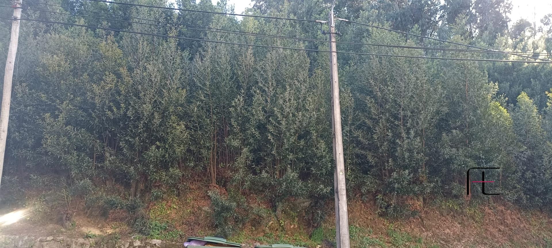 Terreno Urbano  Venda em Oliveira do Douro,Vila Nova de Gaia