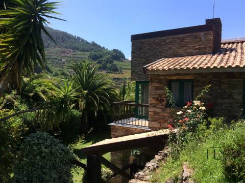 Quinta T4 Venda em Fontes,Santa Marta de Penaguião