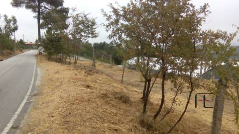 Terreno Para Construção  Venda em Vila Caiz,Amarante