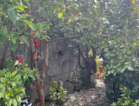 Moradia Isolada T1 Venda em Aboadela, Sanche e Várzea,Amarante