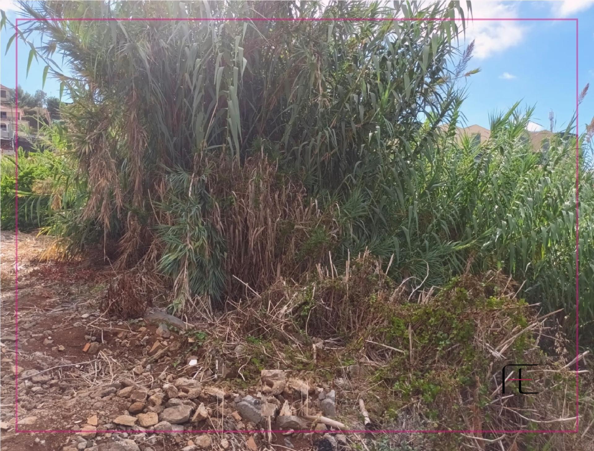 Lote de Terreno  Venda em São Roque,Funchal