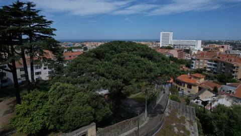 Apartamento T1 Venda em Mafamude e Vilar do Paraíso,Vila Nova de Gaia