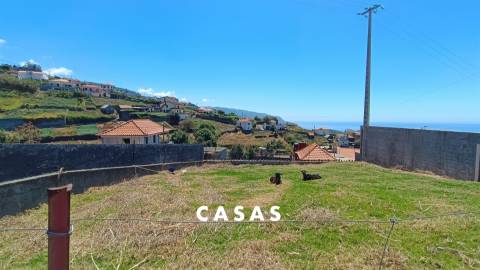 Lote de Terreno  Venda em Canhas,Ponta do Sol