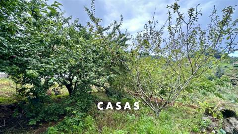 Moradia devoluta num lote de terreno misto de 2.950m² com duas frentes de estrada em Santana