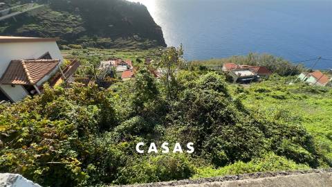 Terreno Rústico  Venda em Campanário,Ribeira Brava