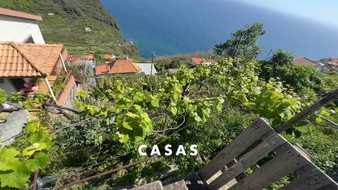 Terreno Rústico  Venda em Campanário,Ribeira Brava