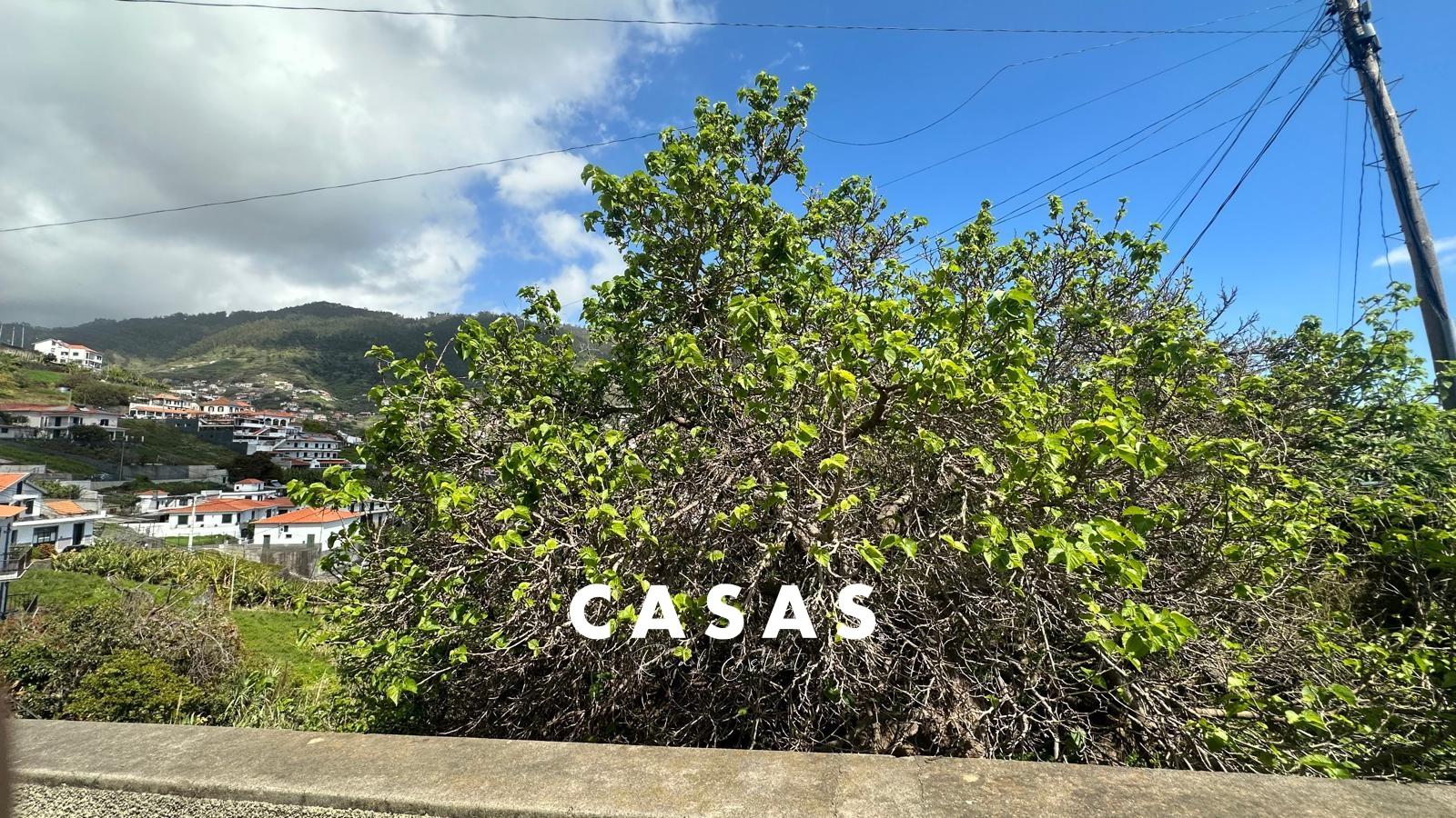 Terreno Rústico  Venda em Campanário,Ribeira Brava