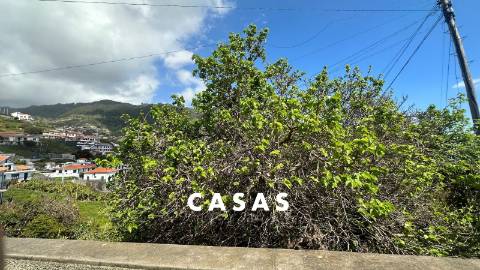 Terreno Rústico  Venda em Campanário,Ribeira Brava
