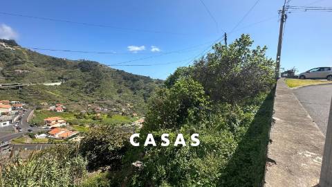Terreno Rústico  Venda em Campanário,Ribeira Brava