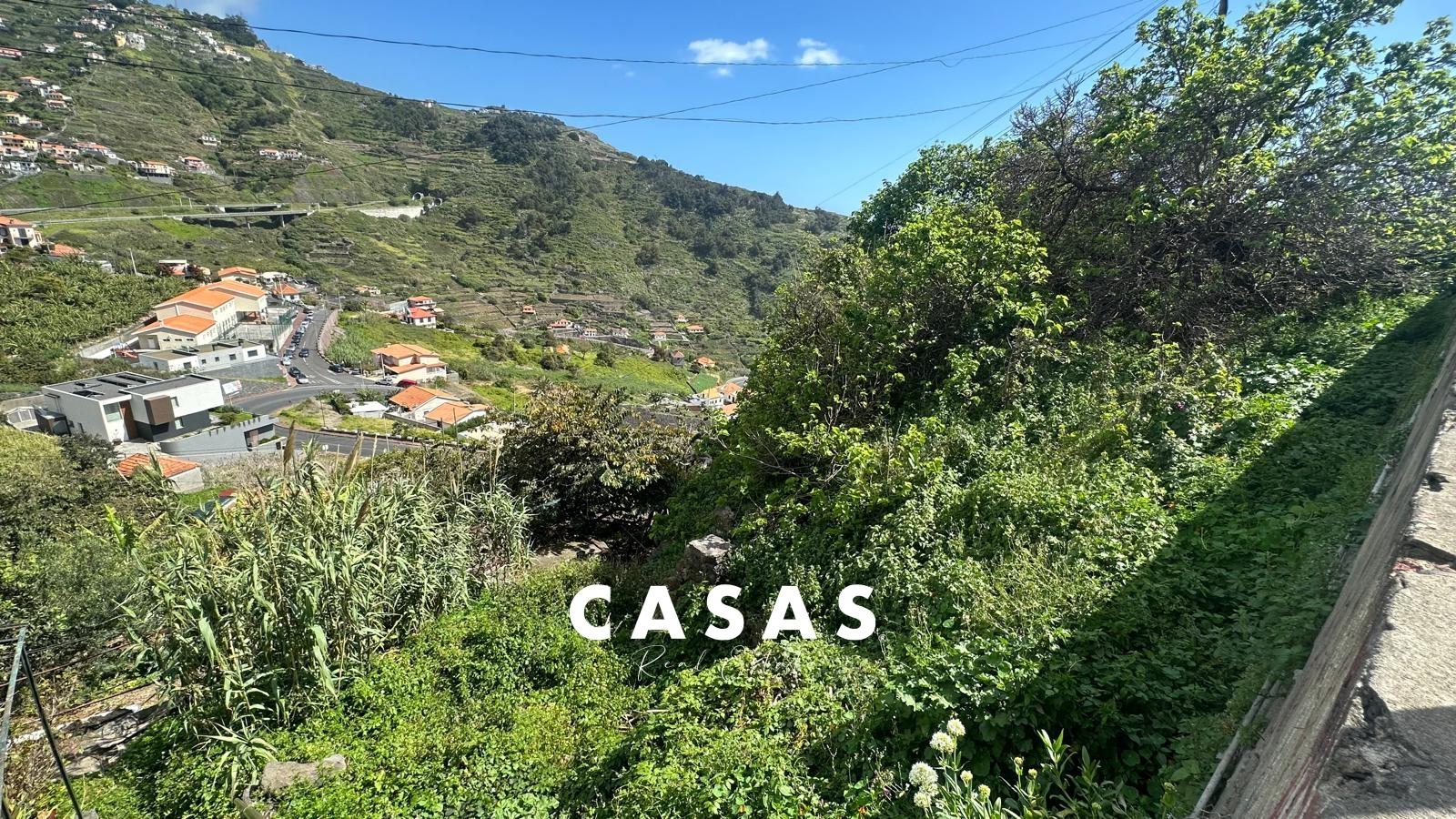 Terreno Rústico  Venda em Campanário,Ribeira Brava