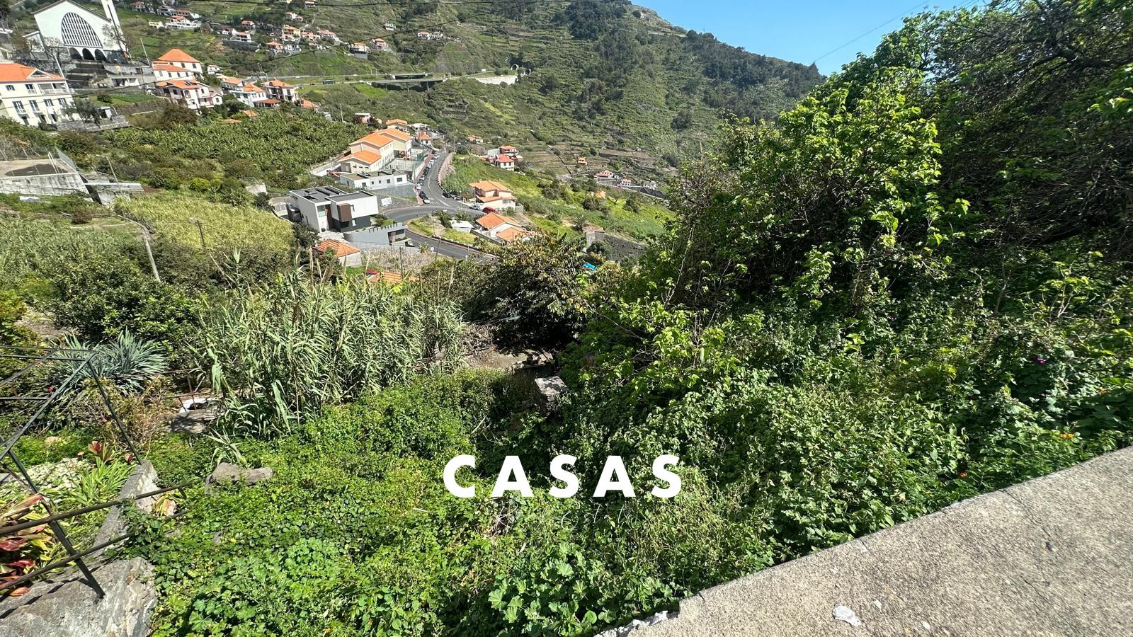 Terreno Rústico  Venda em Campanário,Ribeira Brava