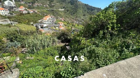 Terreno Rústico  Venda em Campanário,Ribeira Brava