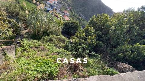 Terreno Rústico  Venda em Campanário,Ribeira Brava