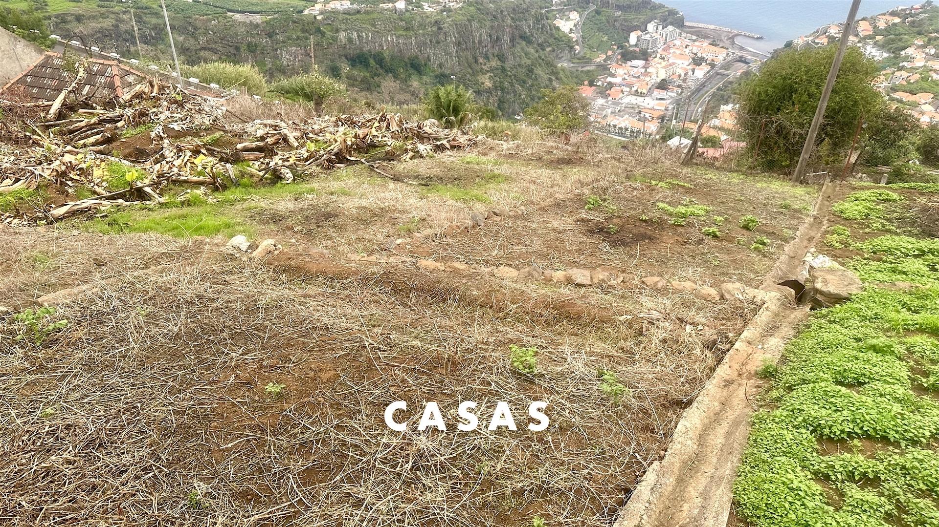Terreno Rústico  Venda em Campanário,Ribeira Brava