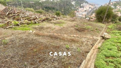 Terreno Rústico  Venda em Campanário,Ribeira Brava