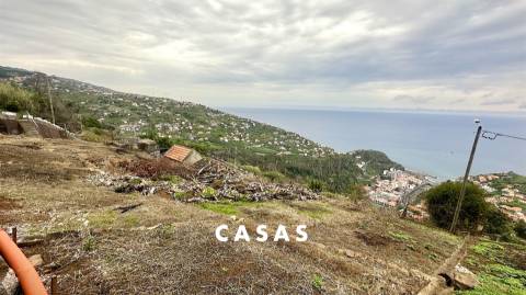 Terreno Rústico  Venda em Campanário,Ribeira Brava