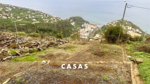 Terreno Rústico  Venda em Campanário,Ribeira Brava