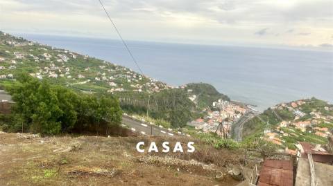 Terreno Rústico  Venda em Campanário,Ribeira Brava