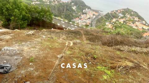 Terreno Rústico  Venda em Campanário,Ribeira Brava