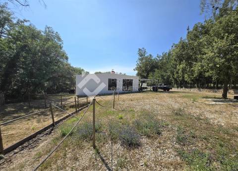 Quinta T4 Venda em Azeitão (São Lourenço e São Simão),Setúbal